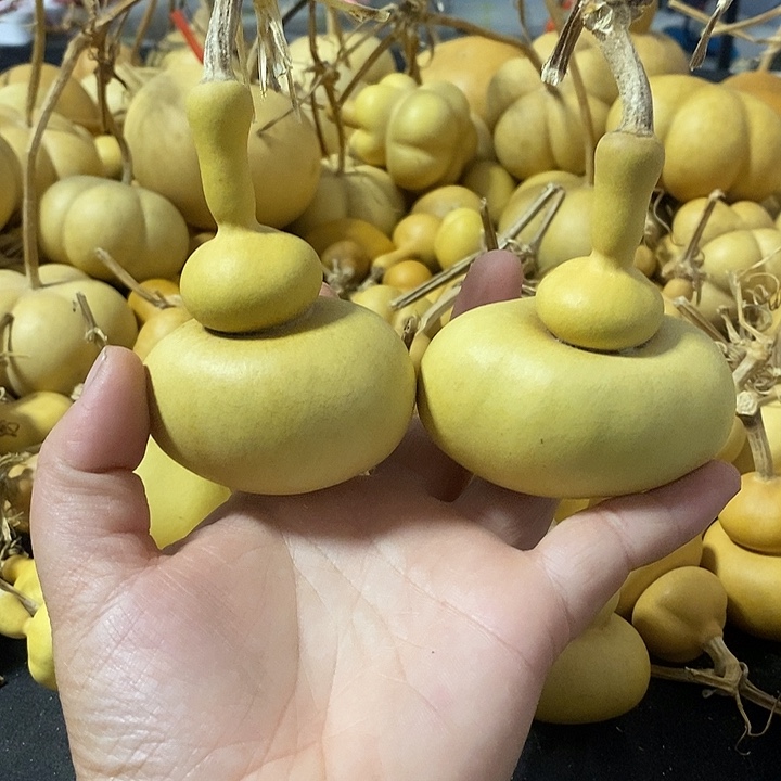 宸**麻葫芦的颜色很好看