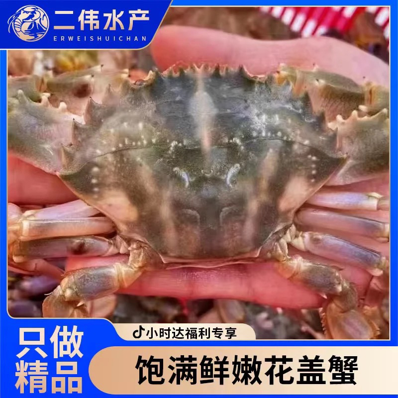 花盖蟹中号49.9三斤 个别断腿（保鲜不保活）
