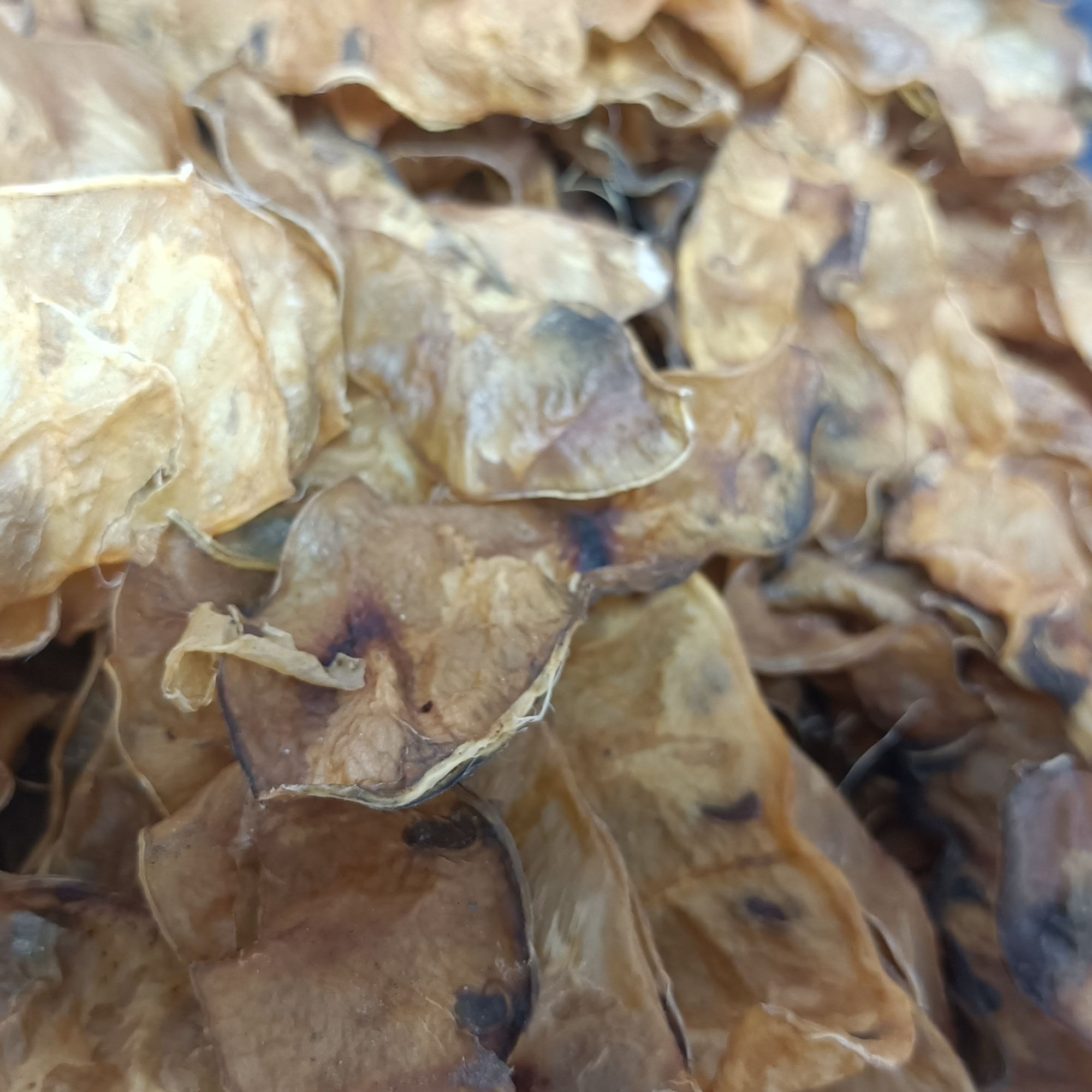 农家自晒柴云豆皮