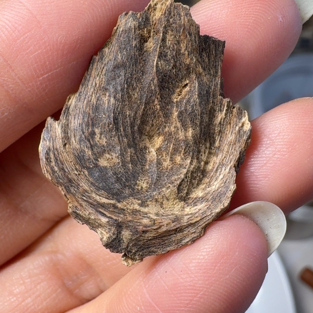 沉香碎屑沉香海南壳子1克