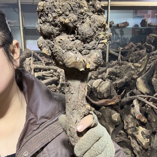 香榧木凉火琉璃的故事毛料摆件