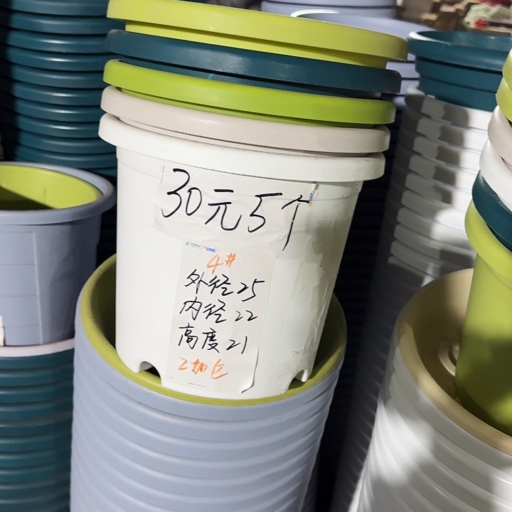 四季4#口径25白色8个无托