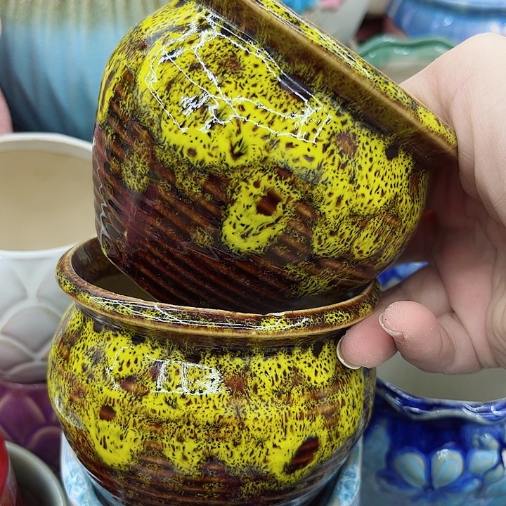 多肉绿植陶瓷花盆9.9包邮，有孔