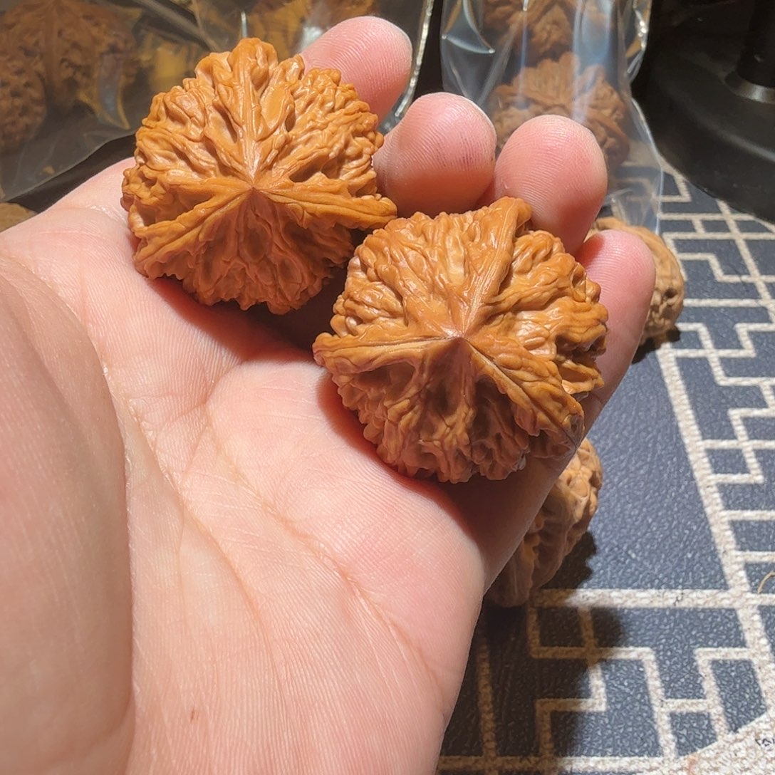 文玩核桃把件柚*～御龙