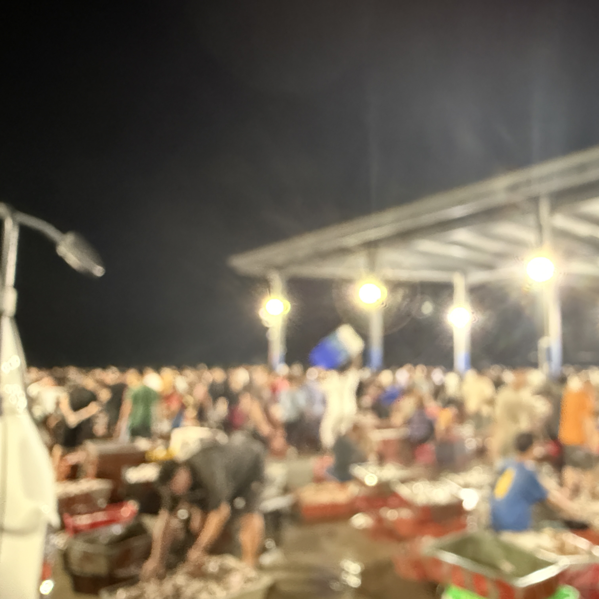 神泉港本港海鲜直播间当日限套餐速冻发货（以直播间为准）