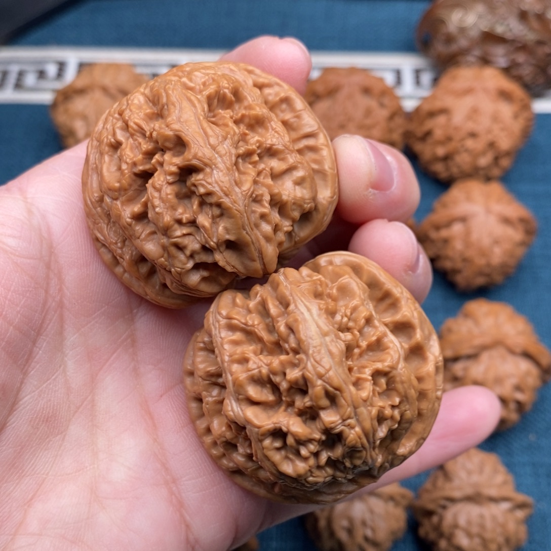 把件文玩核桃44红皮老树大粗筋球粗筋
