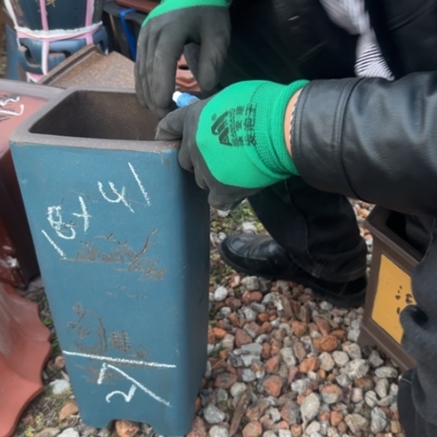 红陶紫砂花盆盆景盆栽