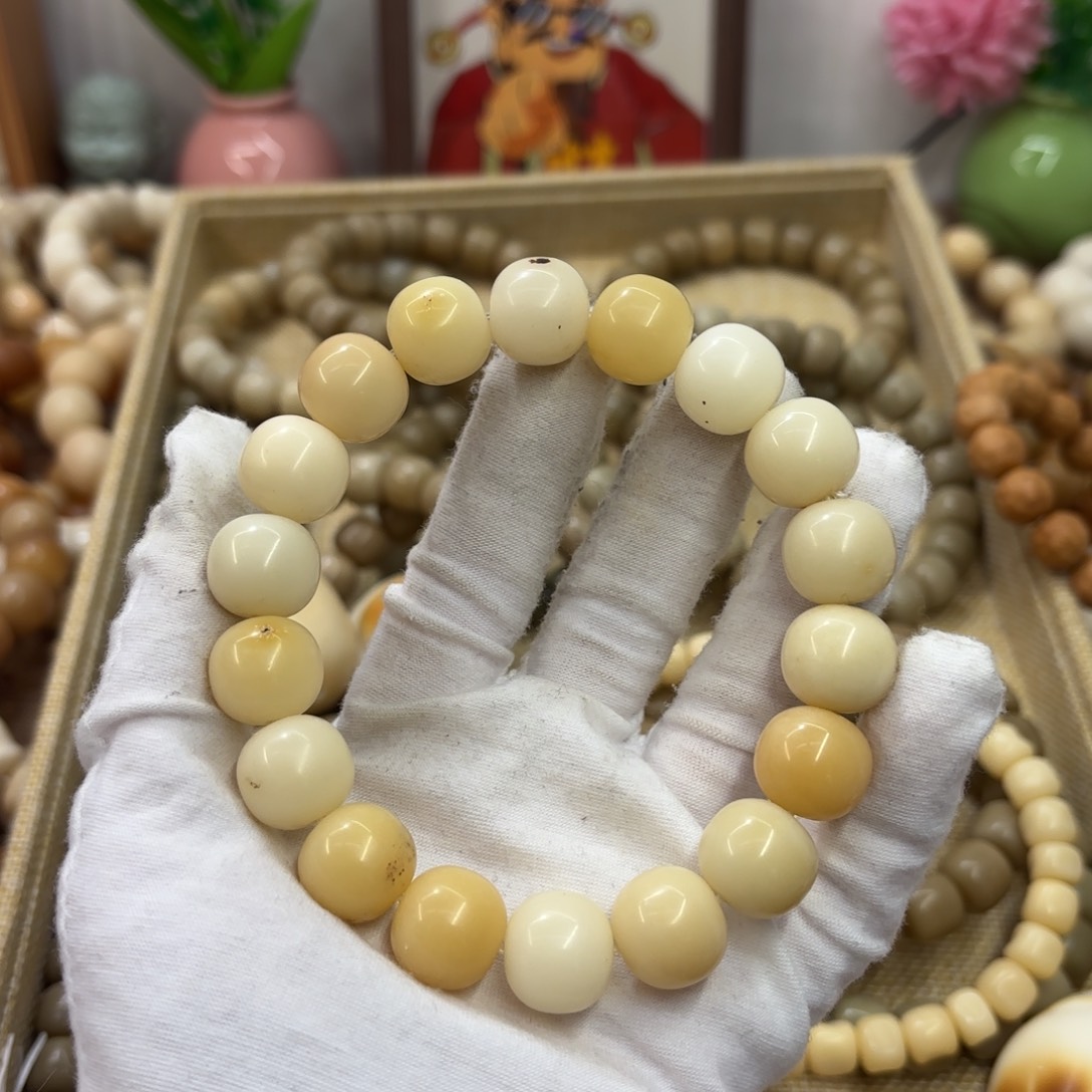 菩提根/象牙果吊坠15干磨瑕疵落地果037