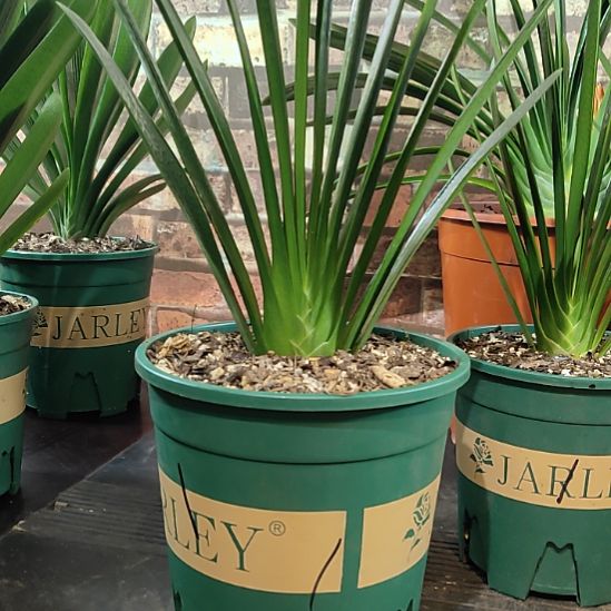 完全开放111111111