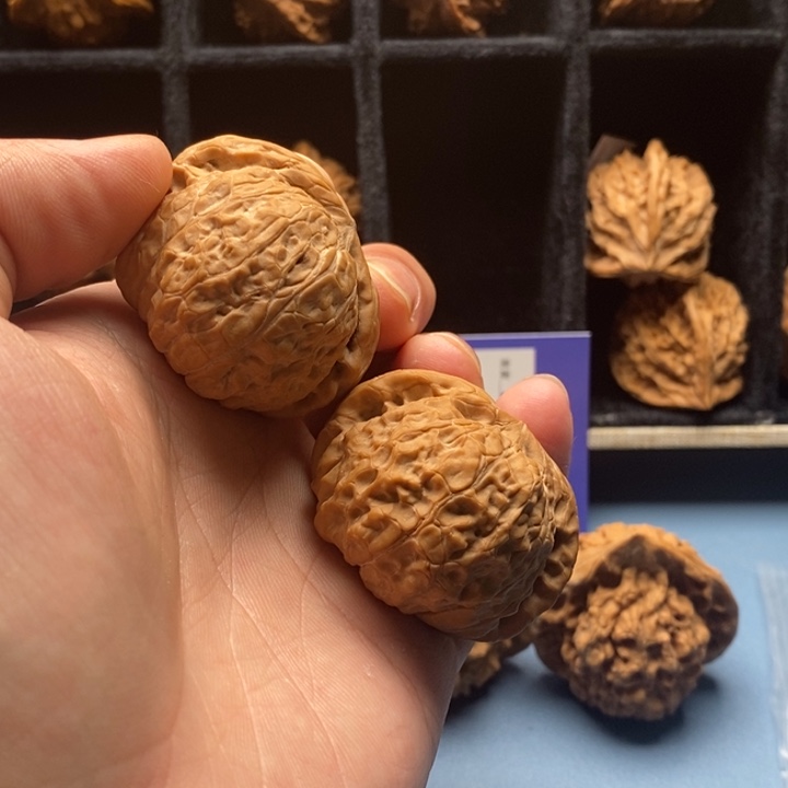 核桃手串/手链核桃种植基地的开发与