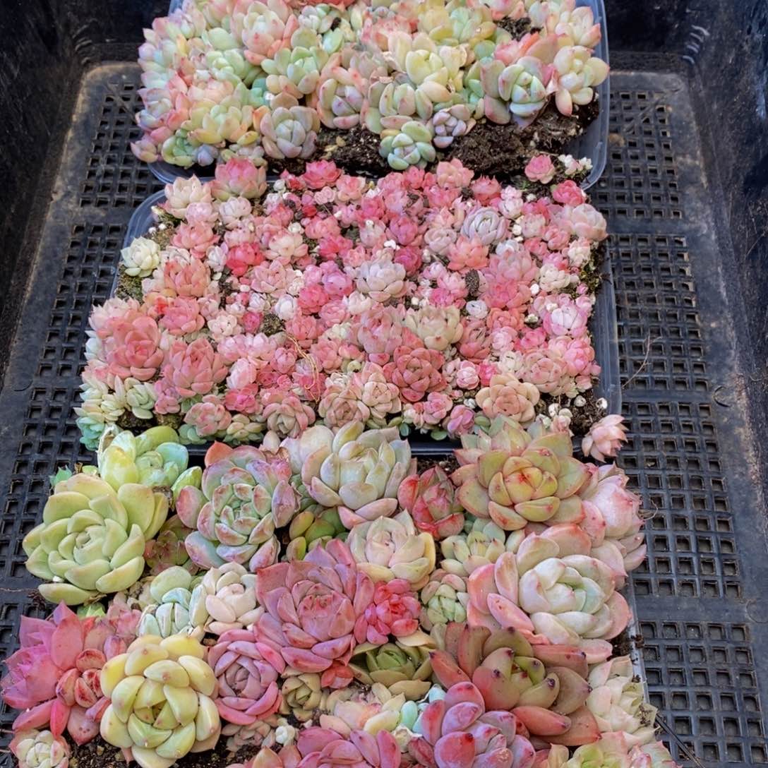 646多人在一起的时候我