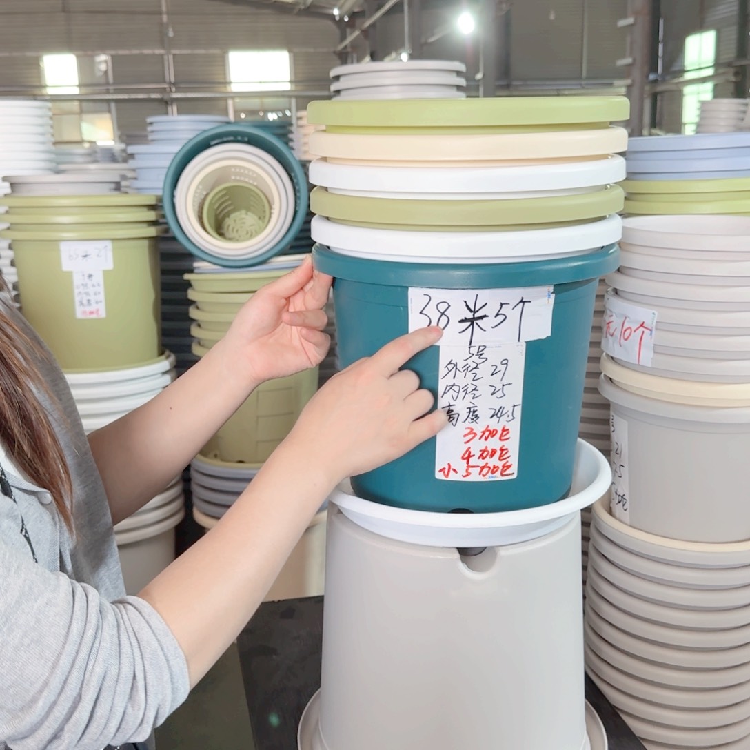 微瑕5#无拖果绿6个