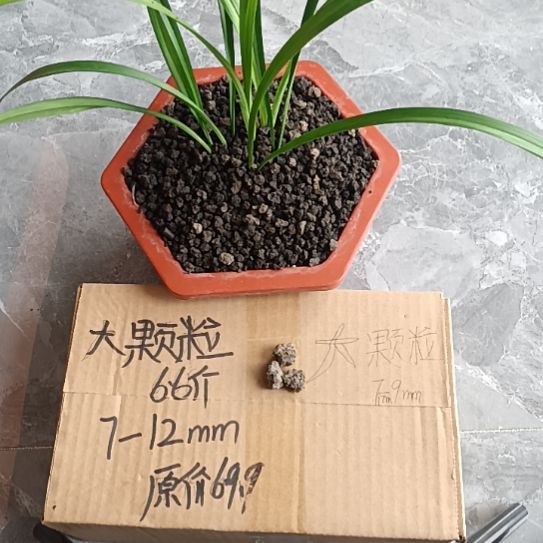 走***路兰菌黑山土大颗粒6.6斤