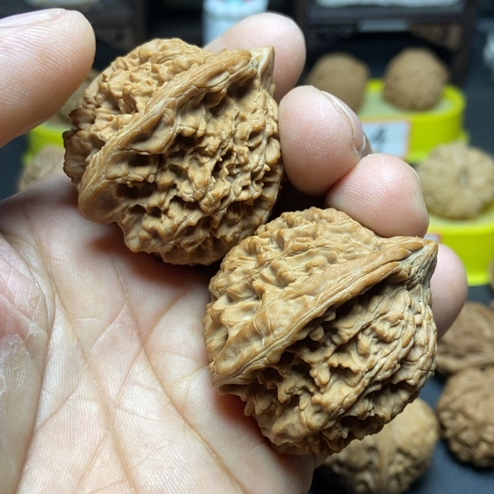 核桃满天星狮子头06