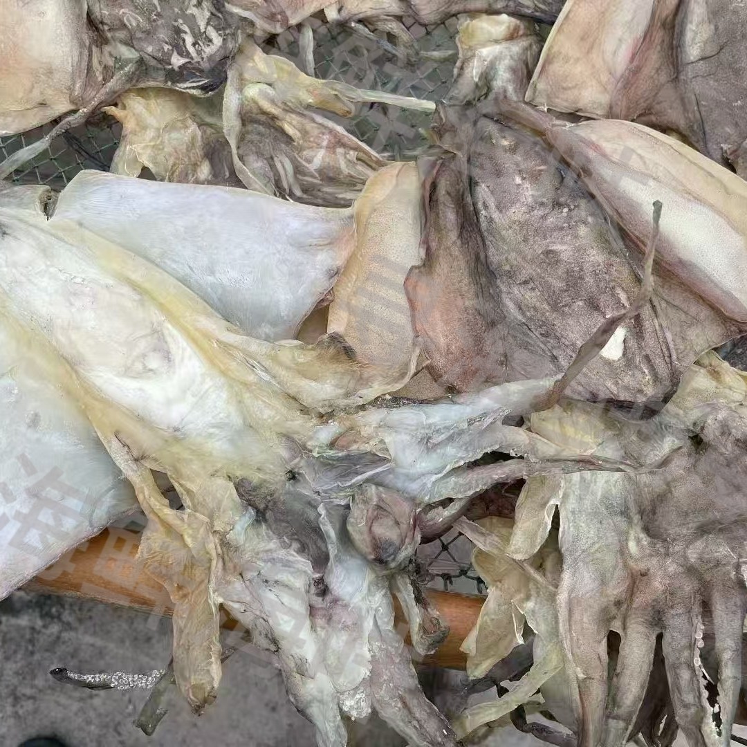 【6-8个】潮汕本港天然淡晒墨鱼G可煲汤滋补营养特产海鲜