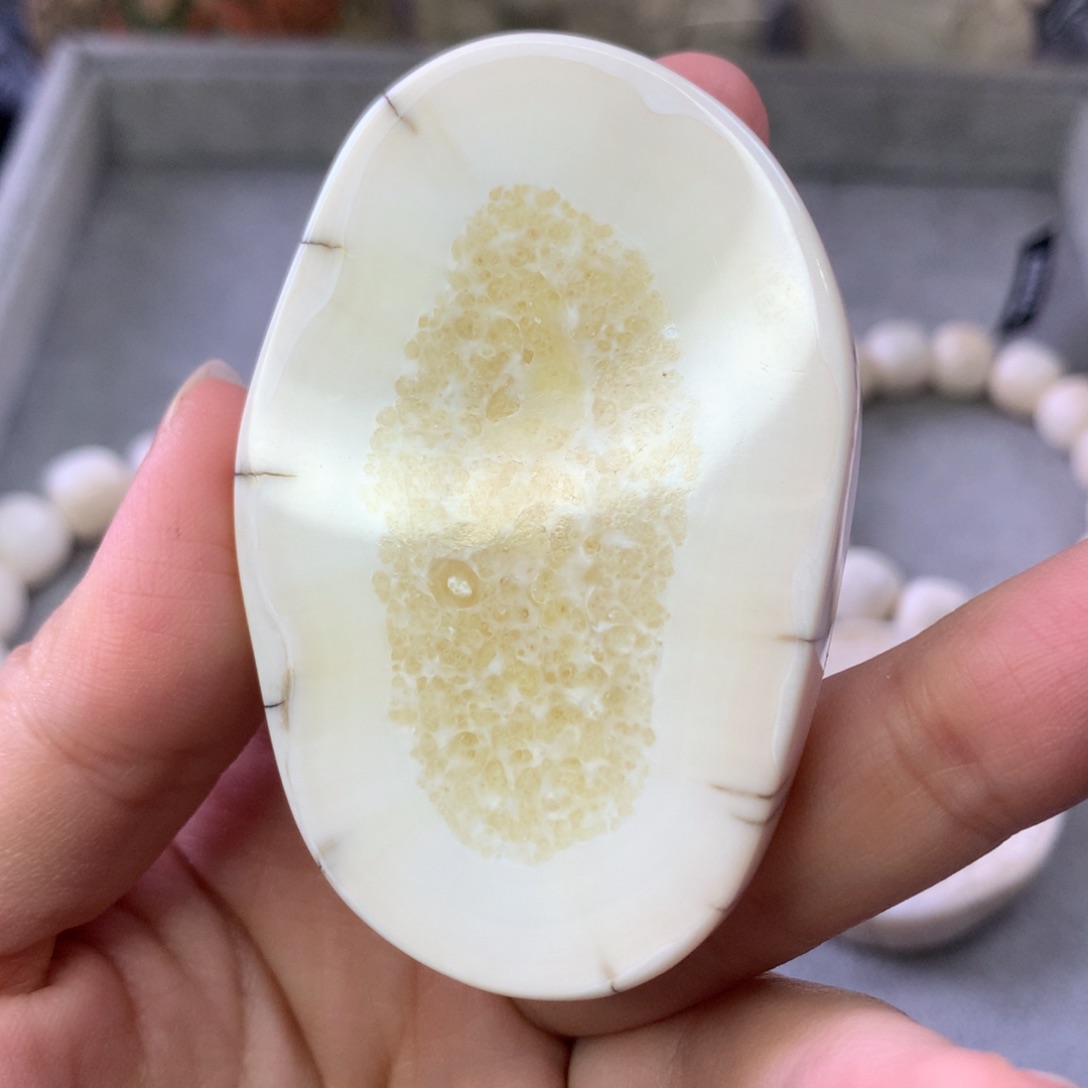 橄榄核手串/手链Rrrr104