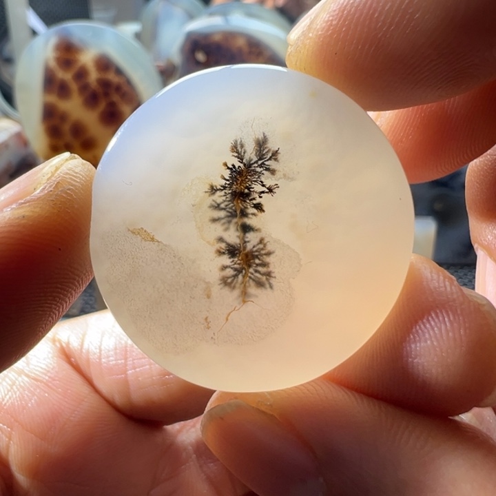 未镶嵌玛瑙/玉髓珠宝奇石