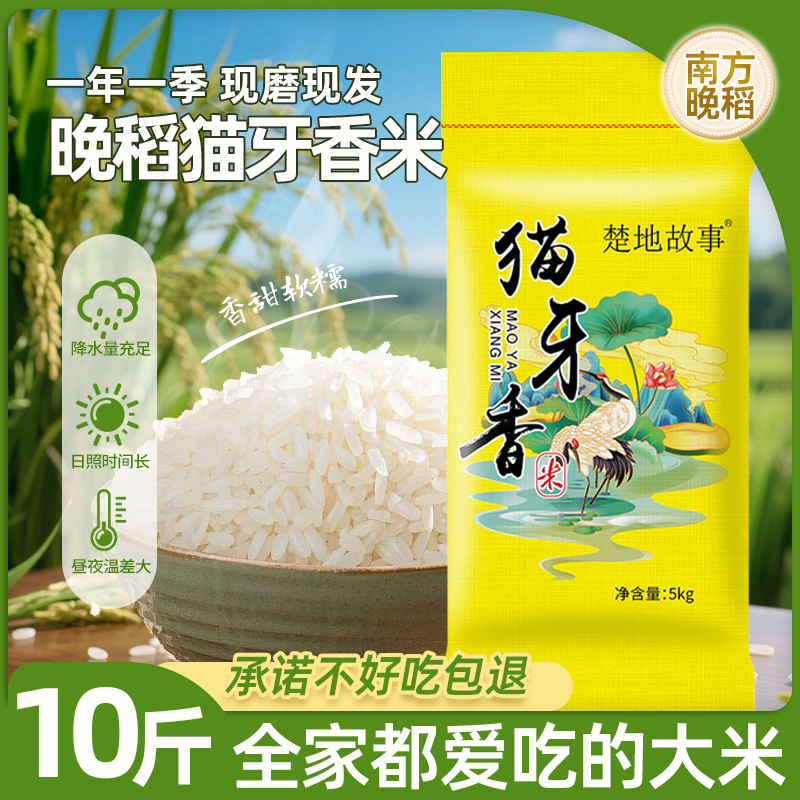 长粒香米新米10斤20斤50斤煮饭营养颗粒饱满清香软糯