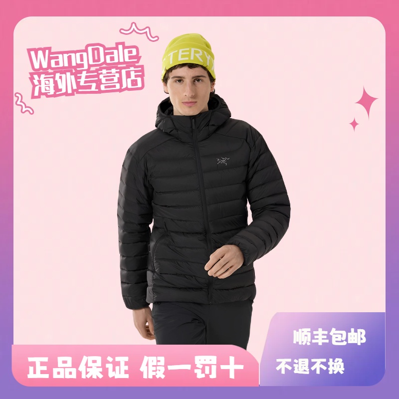 ARC'TERYX/始祖鸟 男款 Cerium Hoody 850蓬 轻量连帽羽绒服 