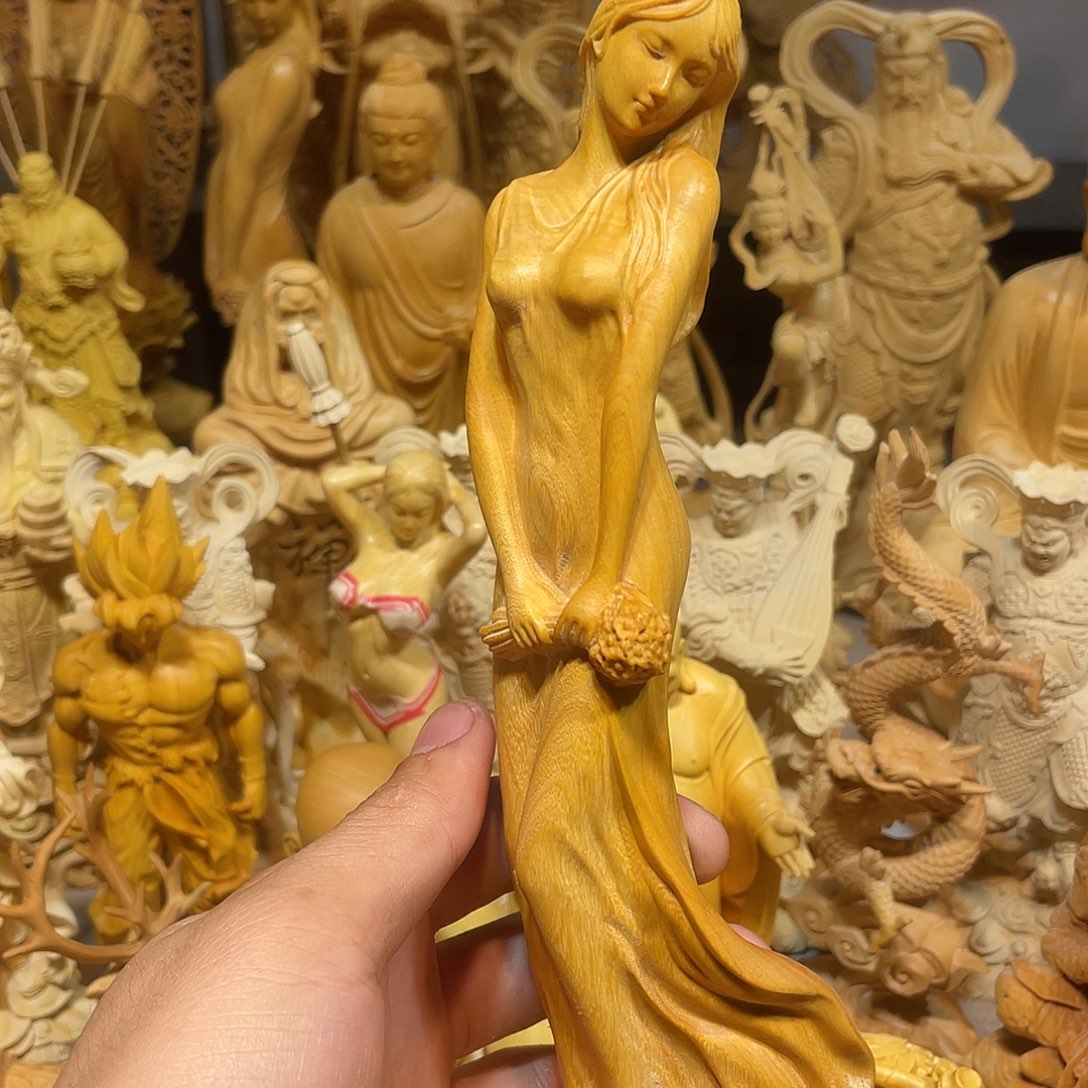 黄杨木小叶初春美女