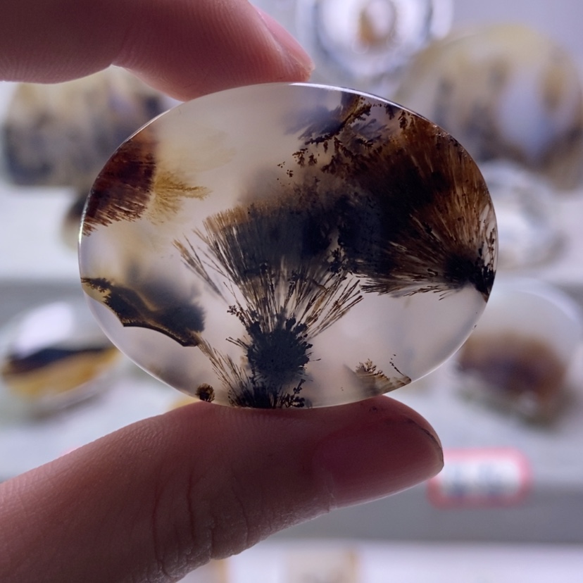 【闪购商品】未镶嵌玛瑙/玉髓珠宝奇石