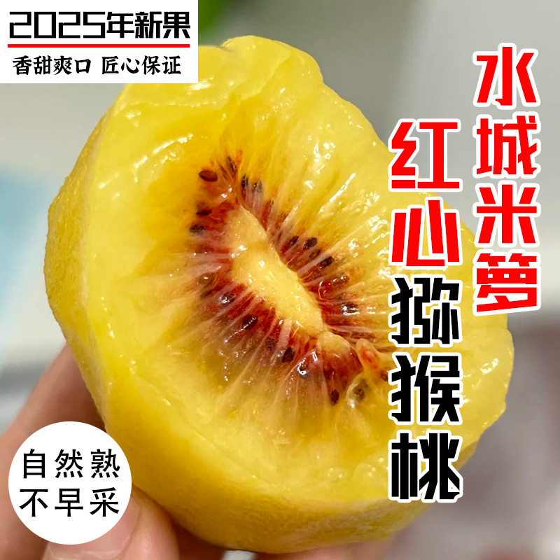 正宗贵州水城猕猴桃当季新鲜水果现摘现发红心猕猴桃产地直发大果