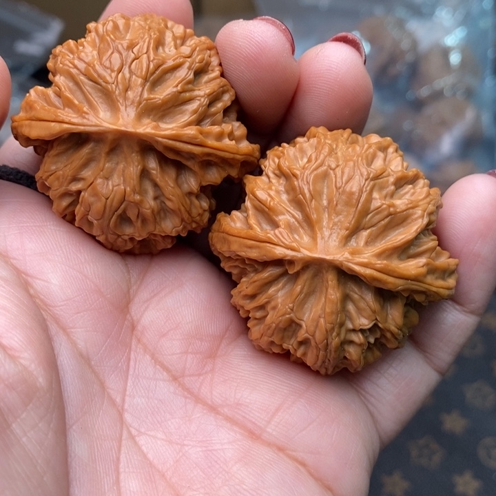 木质类苹果园42尺核桃