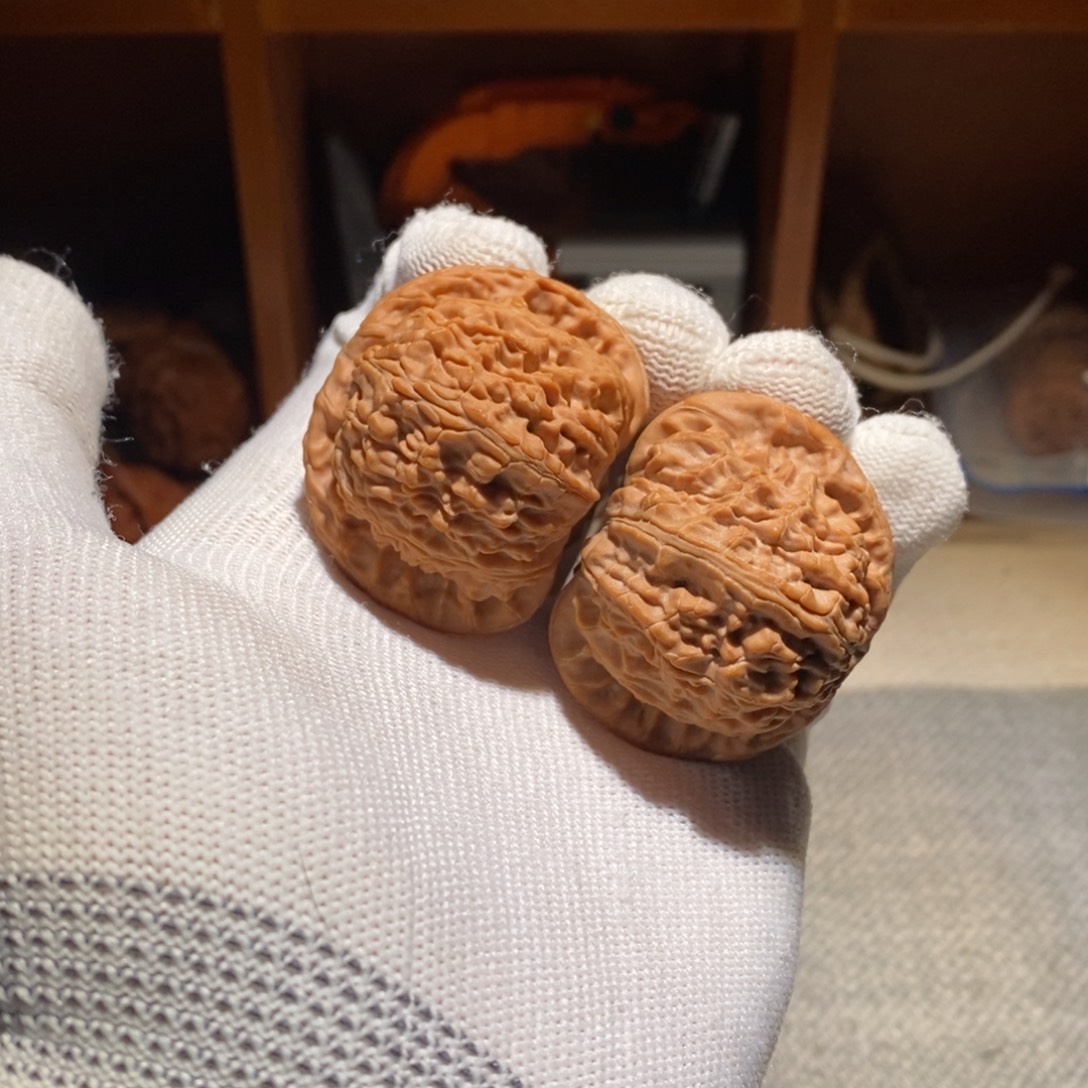 文玩核桃把件球白狮子B71