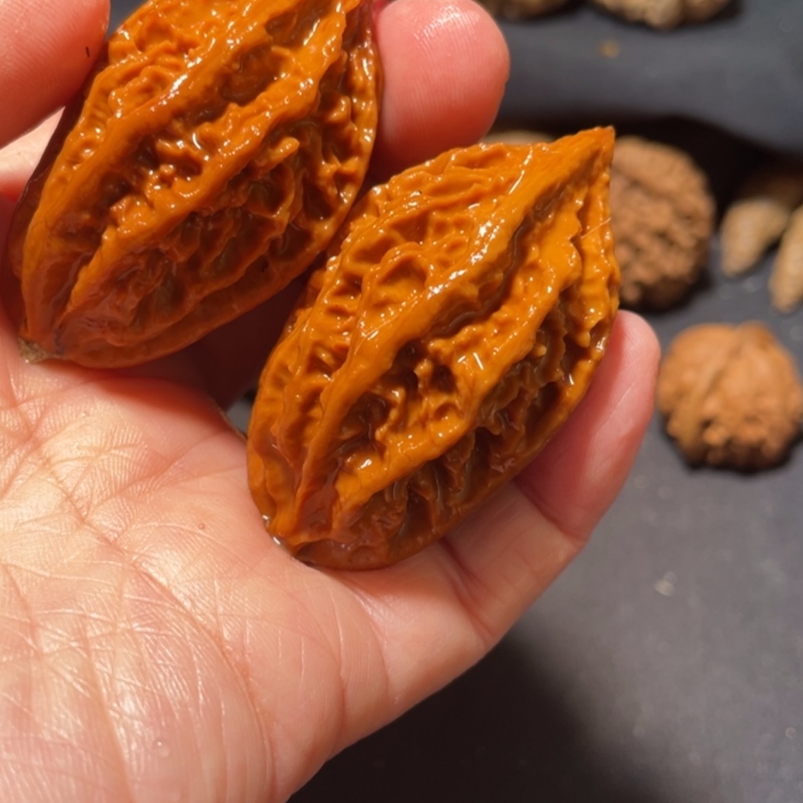 【闪购商品】文玩核桃把件东北楸子3