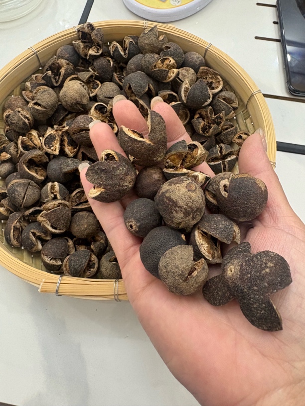 老妈存的2010年柑宝宝