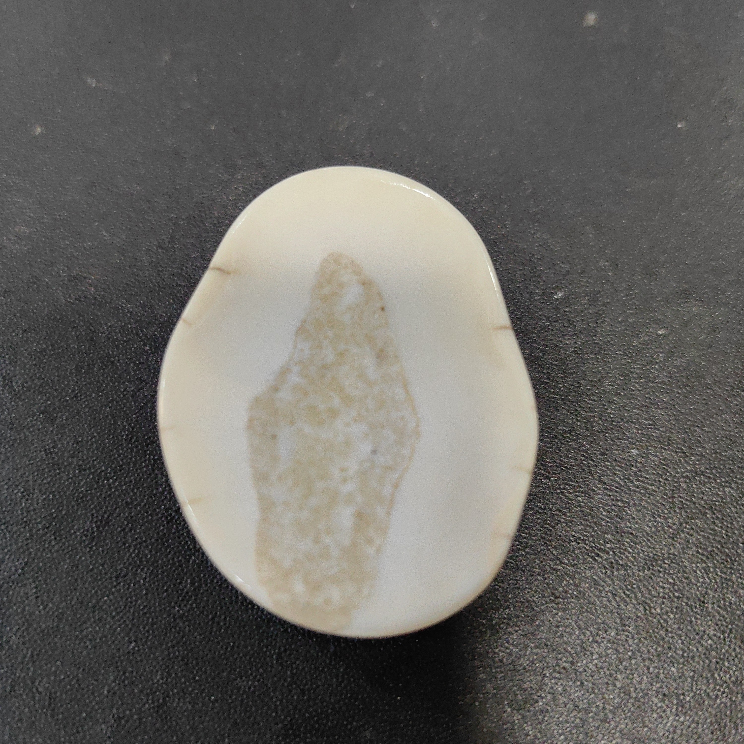 猛犸秋猛犸饼子GG185