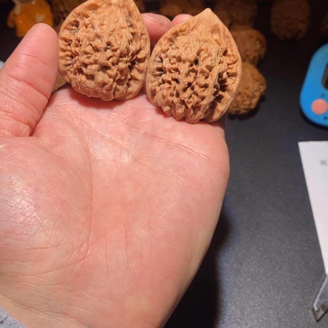 文玩核桃吊坠14号官帽39尺全品