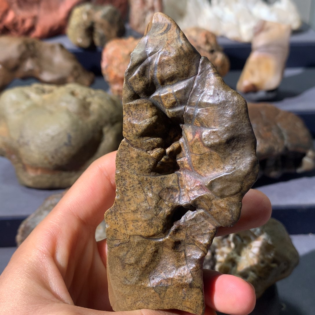 有机玻璃54 阿拉善奇石