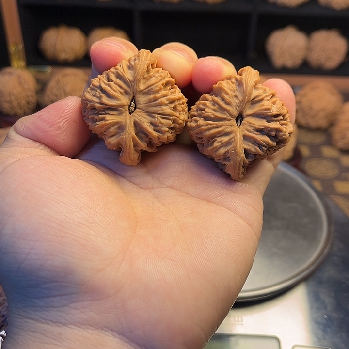 小***哥大叶紫檀（黑酸枝木类）