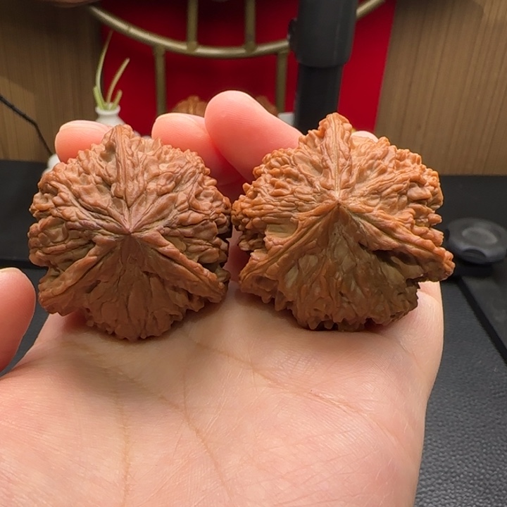 把件文玩核桃满天星全品42