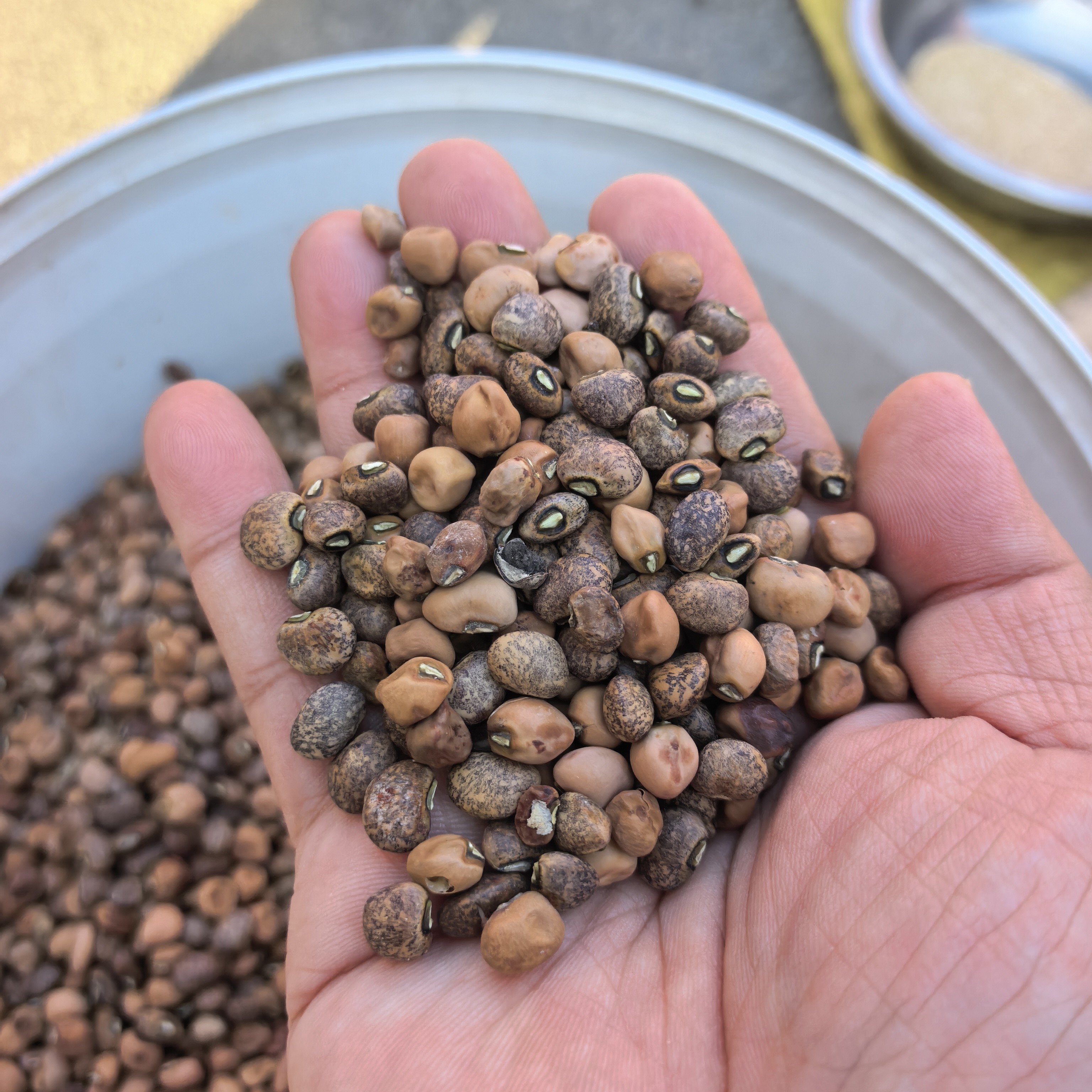 特产蛮爬豆豌豆原味麻豆子