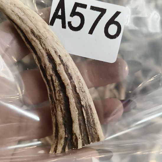 闲***事鹿角鹿角鹿角鹿角鹿