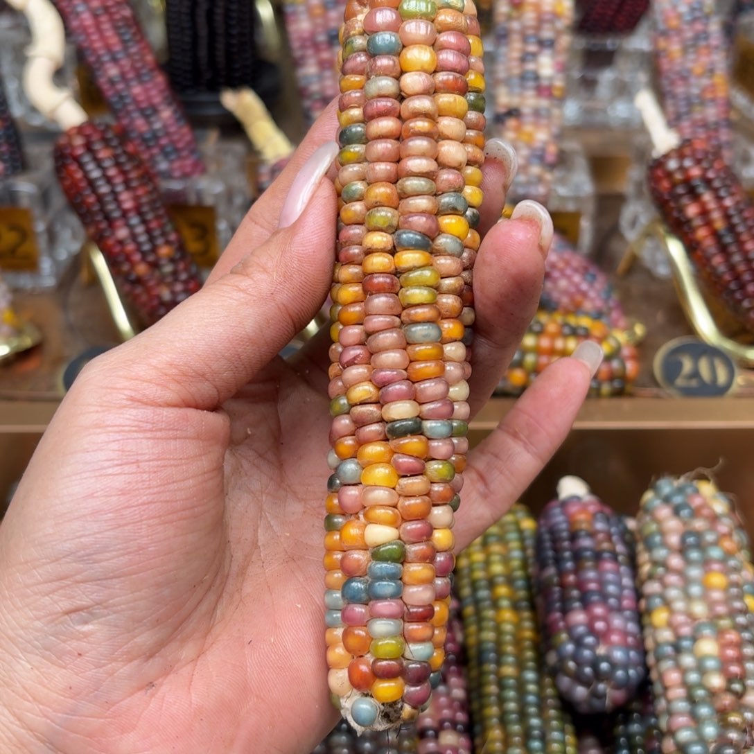 柏香籽/百香籽吊坠陆*