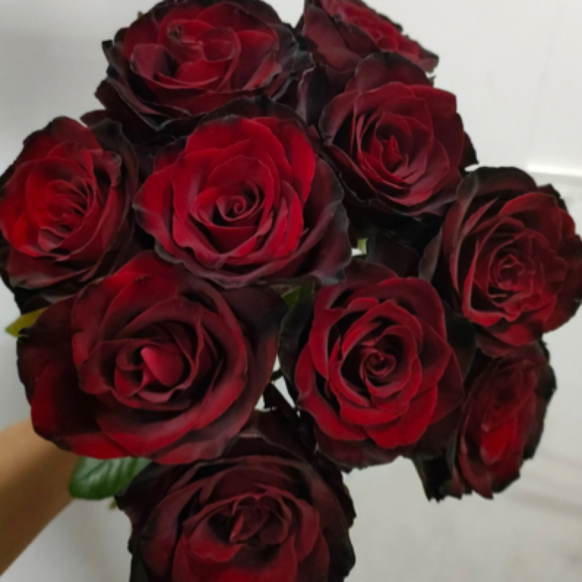 现接裸根，无售后，四颗包邮