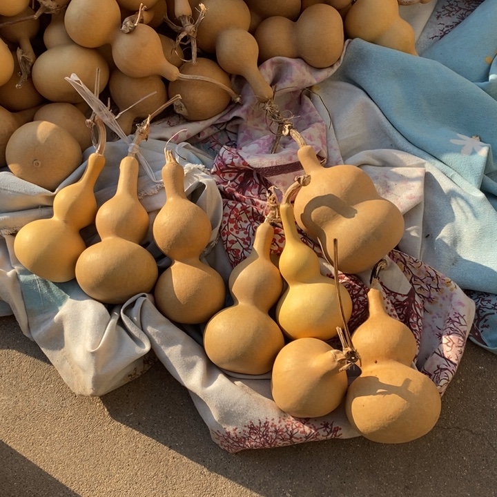 葫芦葫芦六个带两个