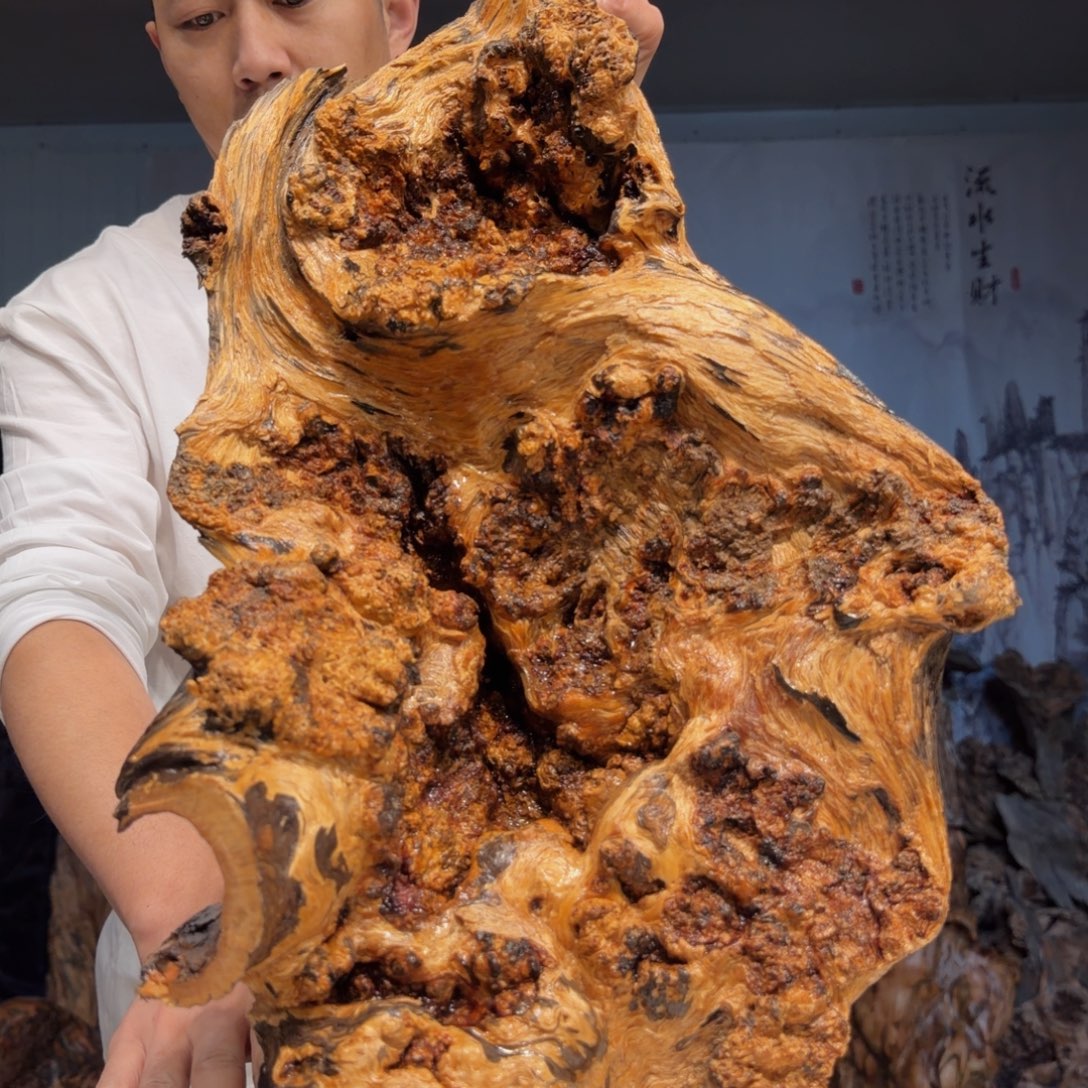 慧***流木三丰琥珀木 天然摆件13