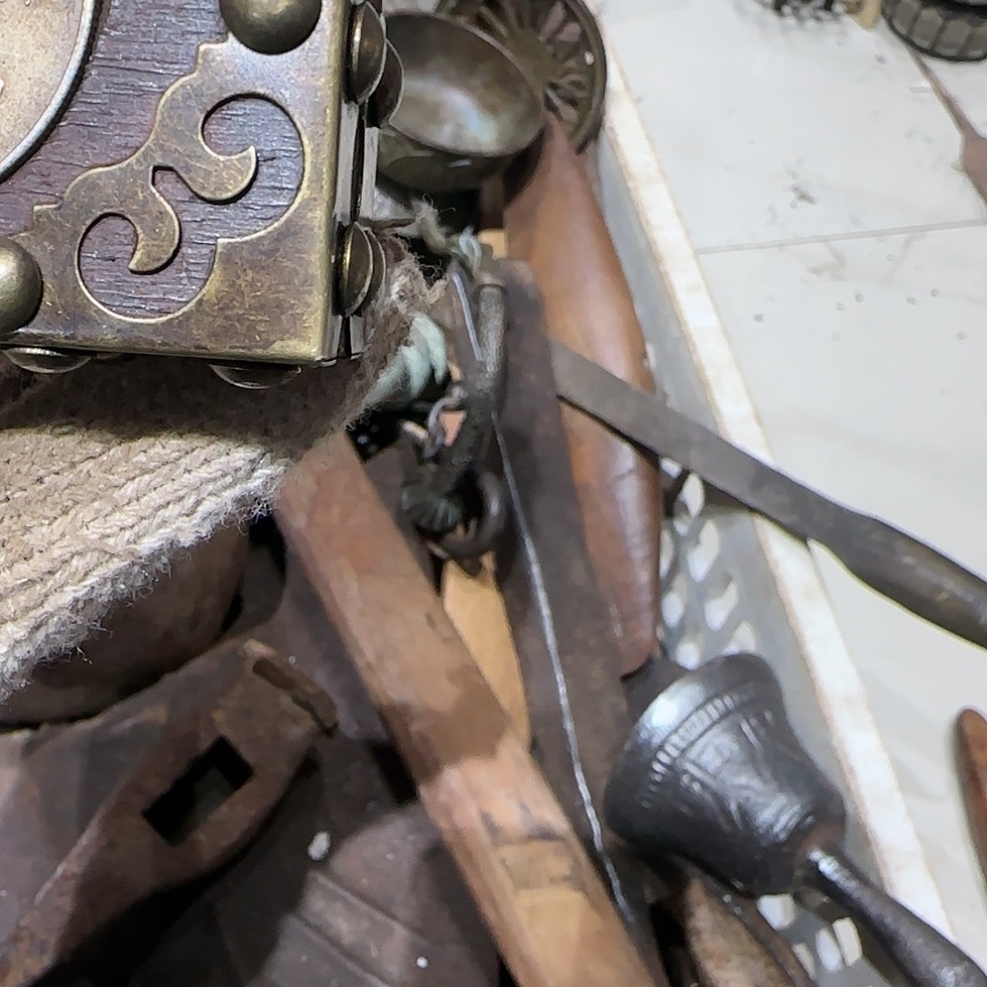 飞***海一物一图看好在拍