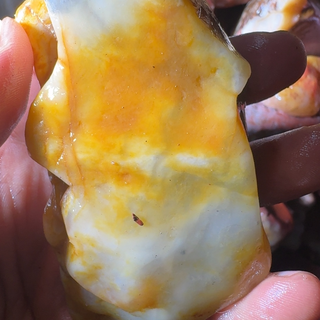 赵***鸿寿山石8989988998998