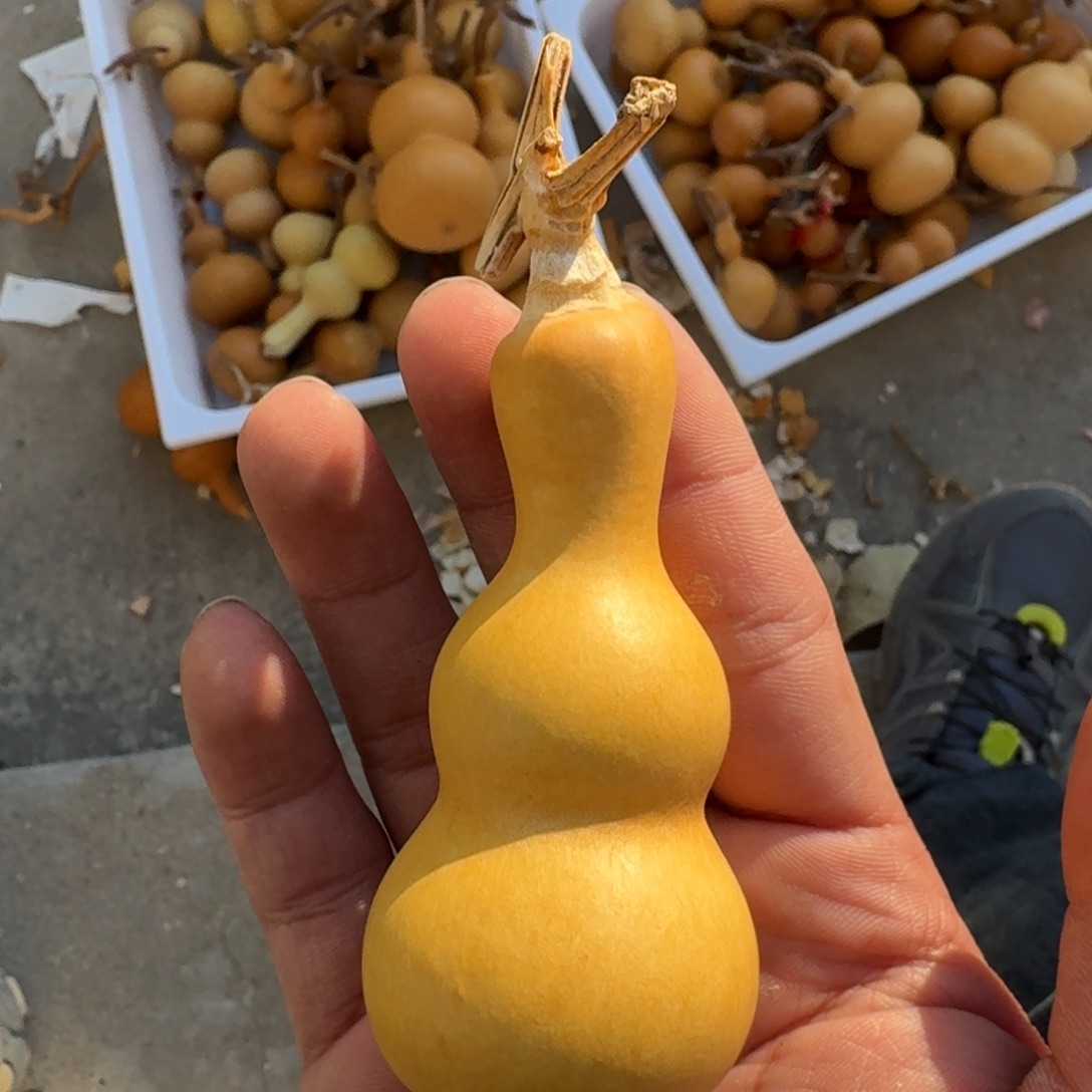 早***a那就是我们最想的那种结果啊