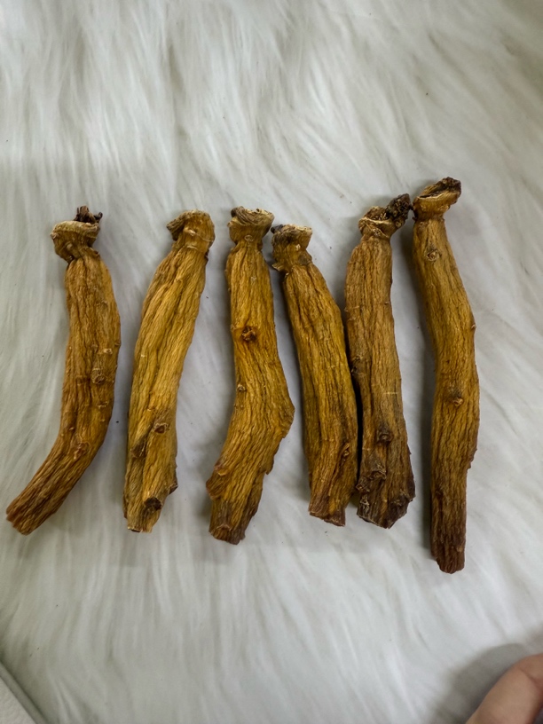 纯正天字号18支陈香高丽参，参香味浓郁