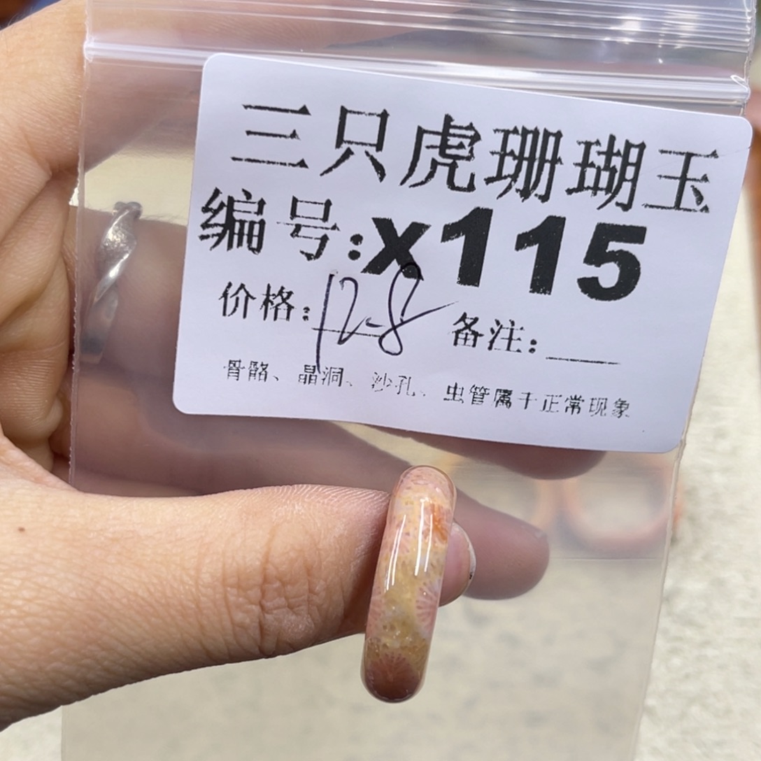 洛***洛硅化珊瑚（珊瑚玉）未镶嵌h