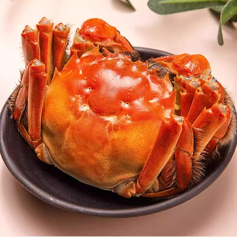【活蟹现发】苏州精品大闸蟹公蟹5.7两 母蟹4.7两6只+2只到手8只WZ