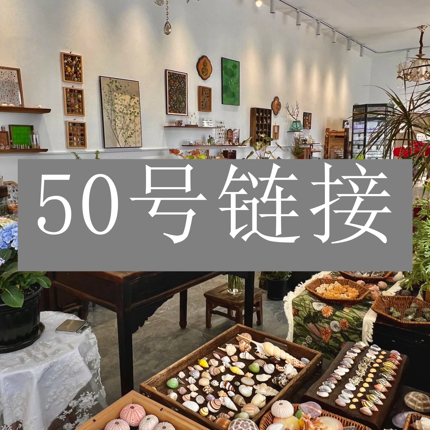 铜合金耳饰 【50号链接】轻奢时尚气质百搭耳饰饰品 【50号链接】