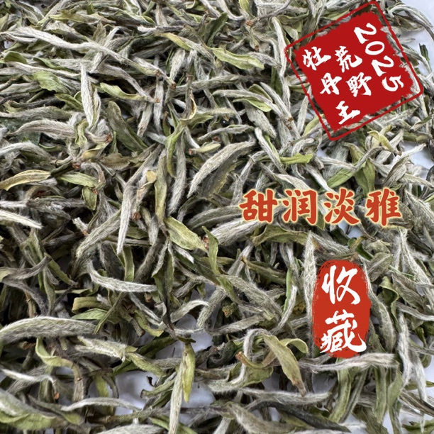 2025年荒野牡丹王福鼎白茶毫香花香米汤感高山茶清香兰花香散茶