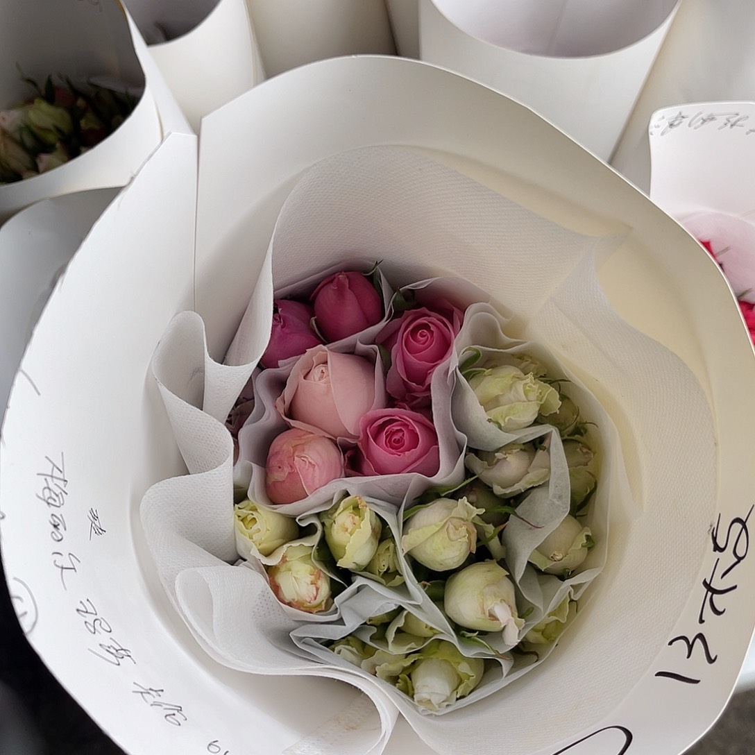 完全开放慕源（混色1号）一扎